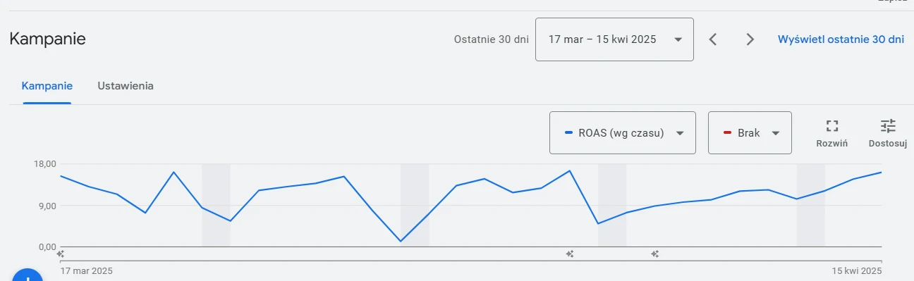 wyniki reklam Google w oparciu o ROAS dla klienta - marzec 2025